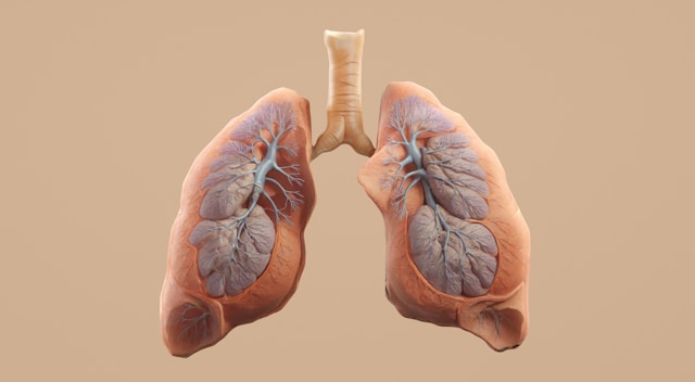 Pulmonology and Respiratory Health Solutions