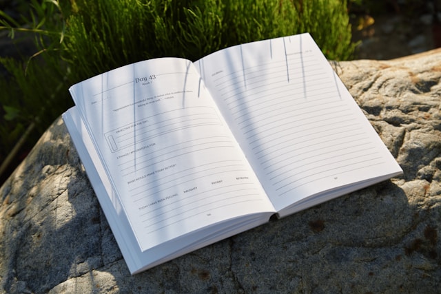 Simplifying Complex Accounting: How to Automate Journal Entries in QuickBooks